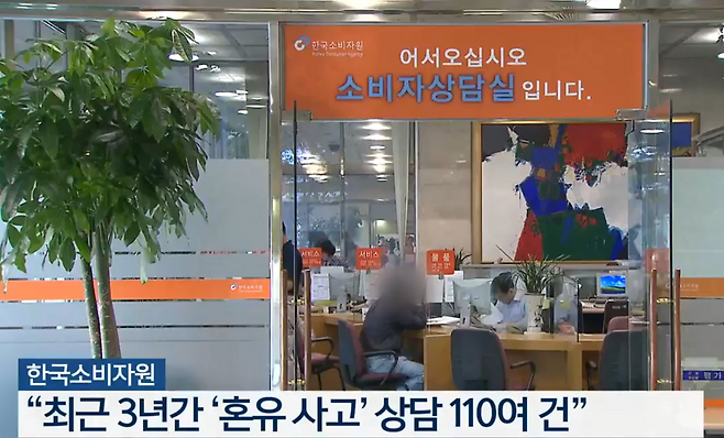 2023년 10월 4일  KBS 제주 뉴스
