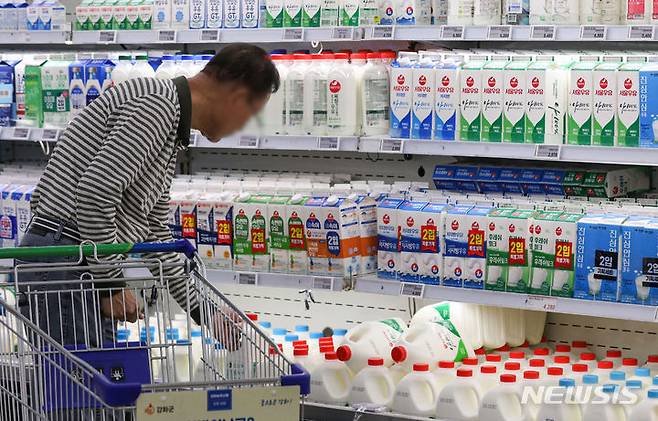 [서울=뉴시스] 권창회 기자 = 우유의 원재료인 원유가격이 리터당 88원(8.8%) 오르면서 서울우유협동조합과 매일유업, 남양유업 등은 지난 1일부터 우유 가격을 인상했다. 사진은 2일 오전 서울 시내 대형마트에 진열된 우유. 2023.10.02. kch0523@newsis.com