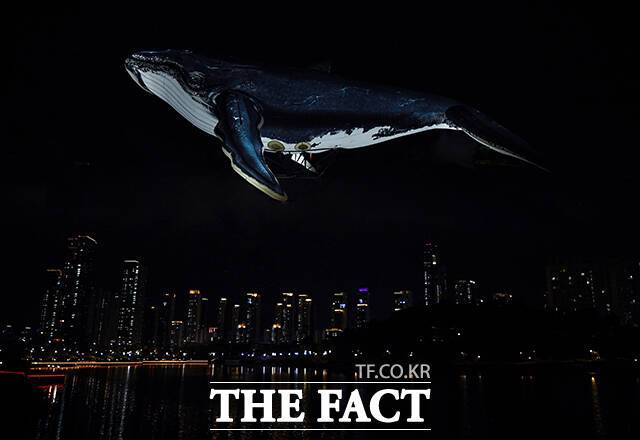 '2023 세종축제'가 개막한 6일 오후 세종시 세종호수공원 일대에 대형고래 조형물이 설치돼 있다. 니콘 D5 카메라 16-35mm렌즈를 이용해 다중촬영한 사진. /세종=이동률 기자