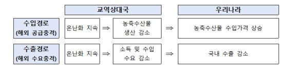 해외 기후변화 물리적 리스크의 국내 파급 경로. 사진 한국은행 자료