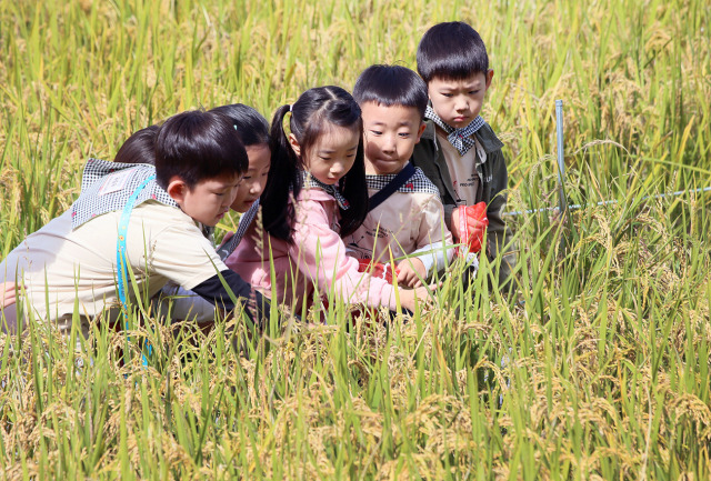 ▲전북 완주군 고산자연휴양림에서 6일 개막한 제11회 완주 와일드&로컬푸드축제에서 어린이 참가자들이 체험을 하고 있다. ⓒ완주군