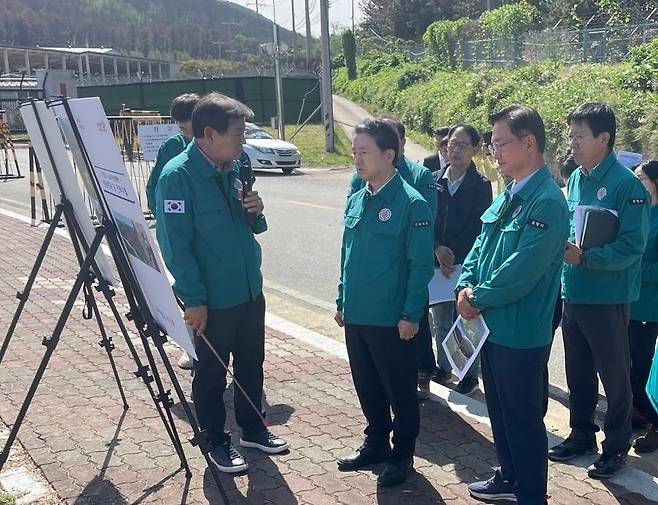 6일 포항 남구 소나무 고사 현장 점검 [포항시 제공. 재판매 및 DB 금지]