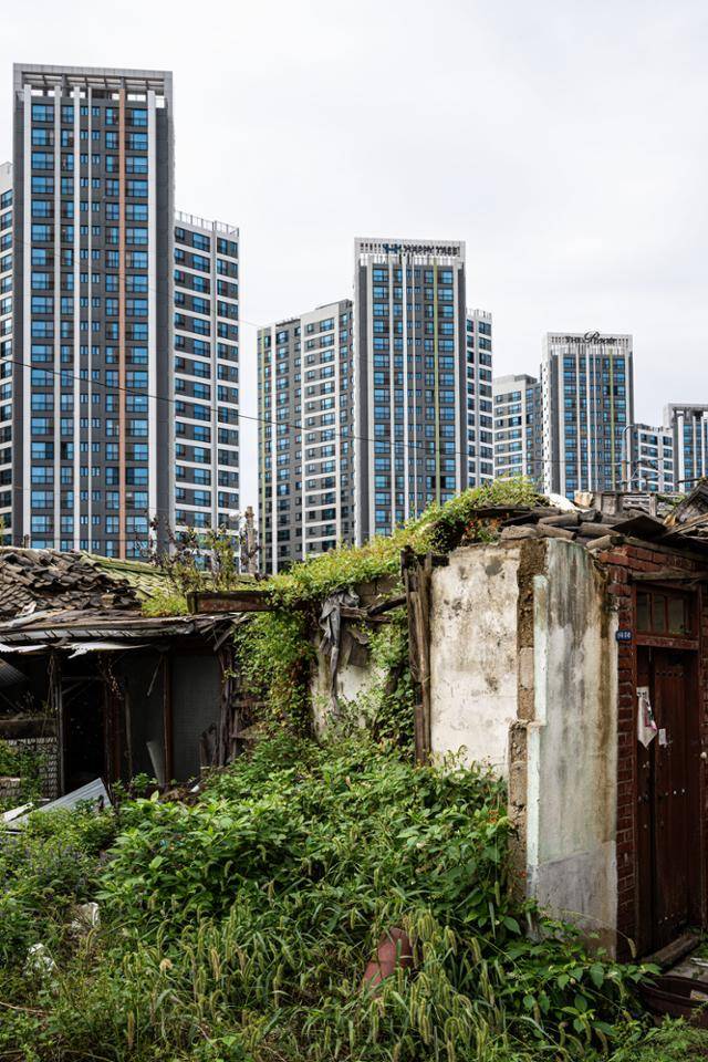 지난달 21일 철거되는 영단주택 뒤로 신축 아파트가 보인다. 이한호 기자