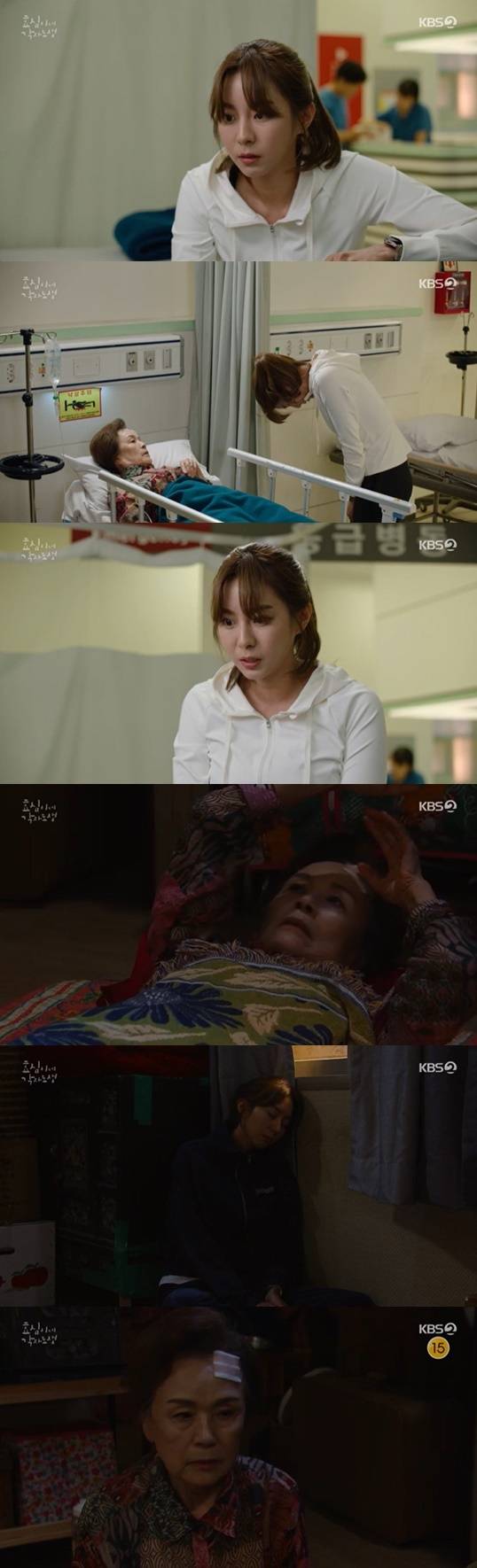 효심이네각자도생