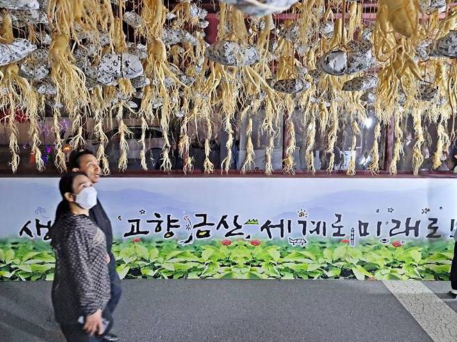 6일 금산세계인삼축제에서 '생명의 문'을 지나는 관광객.   사진=명정삼 기자.