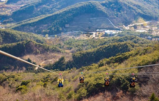 지리산정원에서 운영 중인 짚와이어 시설. 구례군 제공