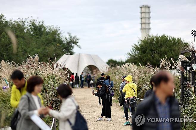 선선한 날씨, 여유로운 주말 (서울=연합뉴스) 윤동진 기자 = 지난 8일 오후 ‘2023 서울정원박람회’가 열린 서울 마포구 하늘공원을 찾은 시민들이 여유를 즐기고 있다. 2023.10.8 mon@yna.co.kr