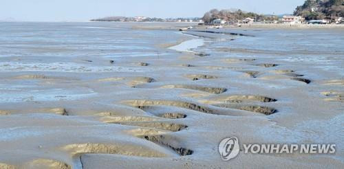 갯벌 사진은 기사 내용과 관계없음 [연합뉴스 자료사진]