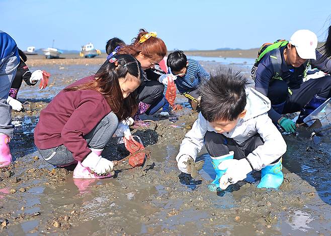 일등어촌에 선정된 충남 서산 중리마을의 어촌체험 현장 (사진=해양수산부 제공)