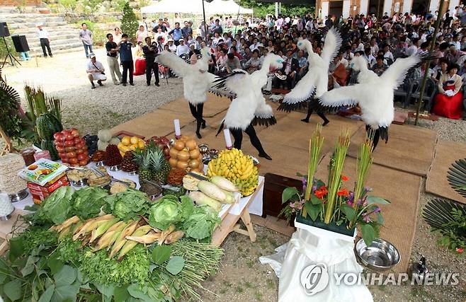 동식물 영혼을 위한 천도재 [연합뉴스 자료사진]