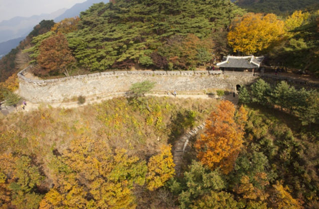 광주 남한산성 소나무숲./사진제공=경기도