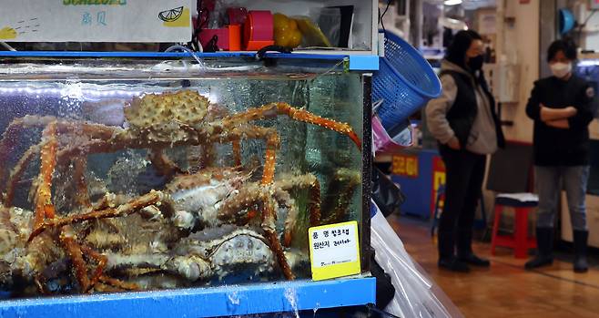 러시아산 킹크랩 자료사진. /뉴스1