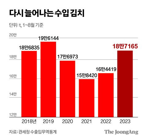 김영희 디자이너