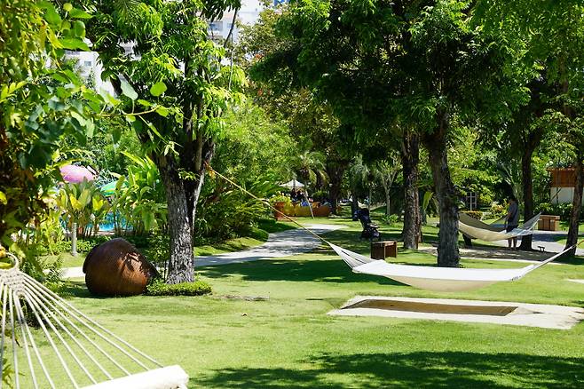 제이파크 리조트는 해먹이 무척 많은 것이 특징이다