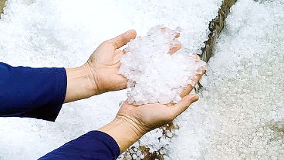 14일 오후 충남 천안시 동남구 병천면에 쏟아진 손톱만 한 크기의 우박. 연합뉴스