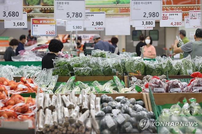 서울의 한 대형마트.[연합뉴스 자료사진]