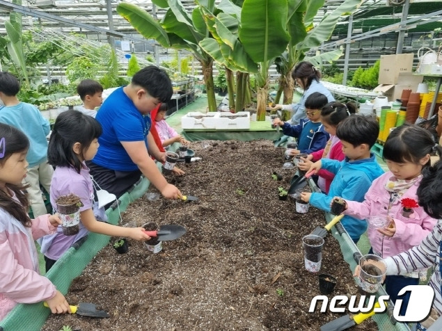 전북 임실대리초등학교에서 자연수업을 받고 있는 유학생들(전북교육청 제공)/뉴스1