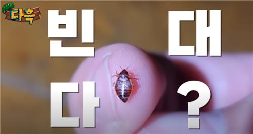 인천 사우나서 발견된 빈대 추정 벌레 ['다흑' 유튜브 영상 캡처. 재판매 및 DB 금지]