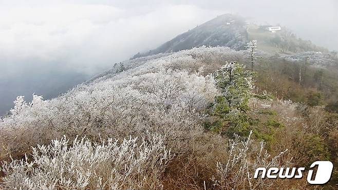 전북 무주군 설천봉 상고대/뉴스1 DB