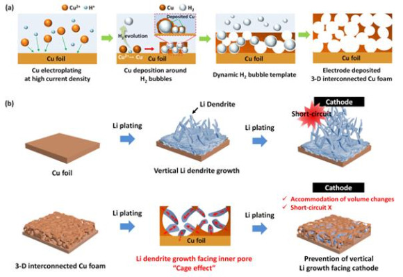 3차원 다공성 구리 음극 집전체 합성 과정 모식도 및 리튬 덴드라이트 제어·성장 메커니즘 (a) 동적 수소 기포 템플릿을 사용, 구리 표면에 전기화학 도금법을 통해 3차원적으로 상호 연결된 다공성 구리 음극 구조체 형성(b) 3차원 다공성 구리 음극 집전체의 넓은 표면적이 균일한 전류 분포 및 낮은 리튬 핵생성 과전압을 유도하며, 리튬 덴드라이트가 기공 안쪽에서부터 우선적으로 형성돼 구조체 내부에 가둘 수 있어 무작위적인 덴드라이트 형성으로 인한 전지의 단락 및 전지 내 부피 팽창 문제 해결 [사진=한국생산기술연구원]