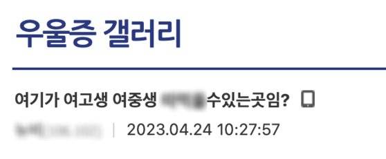 지난 24일 10대 여성에게 성적 목적을 드러낸 한 울갤 이용자의 글. 사진 우울증갤러리 캡처