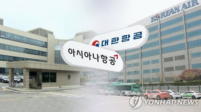 대한항공-아시아나 (CG) [연합뉴스TV 제공]