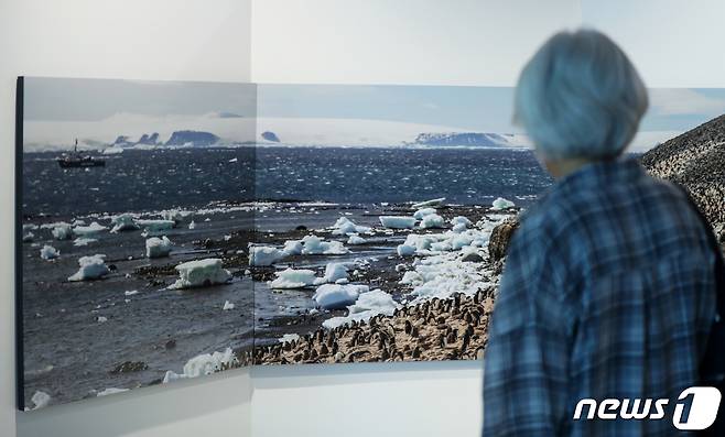 14일 서울 용산구 아이파크몰 4층 카페거리에서 열린 '2022 그린피스 남극 사진전'을 찾은 시민들이 남극의 자연과 생태가 담긴 사진을 감상하고 있다. 이번 사진전은 그린피스 남극탐사팀 대원들이 올해 1월부터 두 달간 남극 생태계를 탐사하며 촬영한 사진들로 구성됐다. 2022.7.14/뉴스1 ⓒ News1 민경석 기자