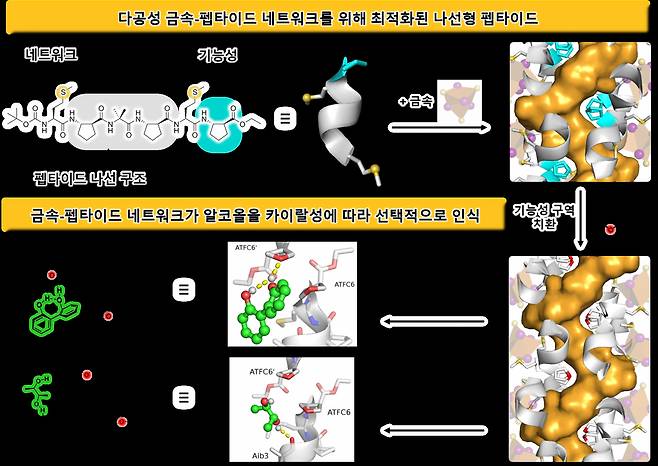 카이랄성 알코올 화합물을 선택적으로 인식하는 펩타이드 기반 기능성 소재 개발 모식도.[KAIST 제공]