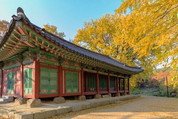 출처: 게티이미지뱅크 (수도권 단풍 여행)