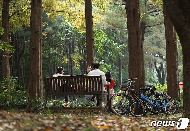 토요일인 21일 충북·세종지역은 올 가을 들어 가장 쌀쌀하겠다.(사진은 기사 내용과 무관함) /뉴스1