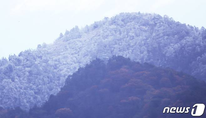 올가을 들어 가장 추운 날씨를 보인 21일 경남 함양군 마천면 지리산 천왕봉에 하얀 상고대가 피어 있다. 상고대는 영하의 대기 중에 있는 수증기가 나무 등 물체에 얼어붙어 마치 눈꽃처럼 핀 현상이다. (함양군 김용만씨 제공) 2023.10.21/뉴스1