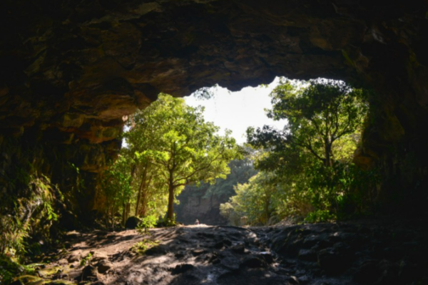 출처: 온라인커뮤니티 (동굴 사진 명소)