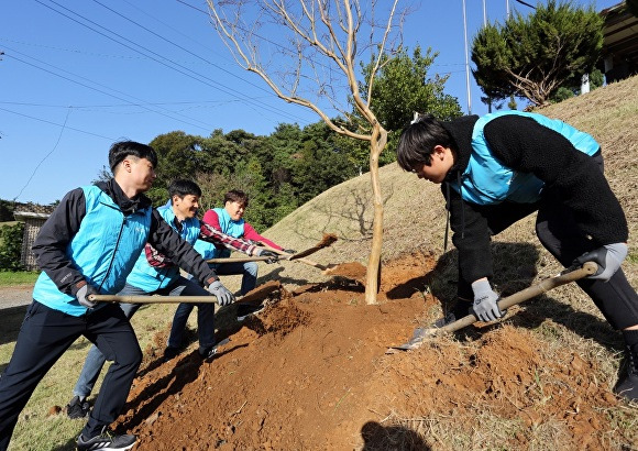 현대제철 당진제철소 가족봉사단이 충장사 문화재 보호 활동에서 나무를 심고있다 [사진=현대제철]