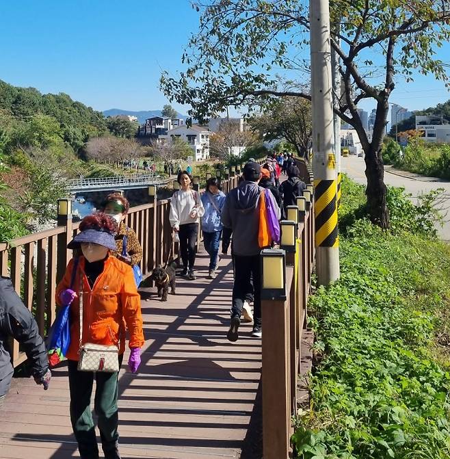 김해시 '대청천 걷기대회' 전경./사진=김해시 제공