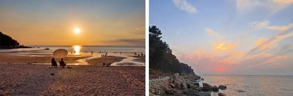 온라인 커뮤니티&nbsp;