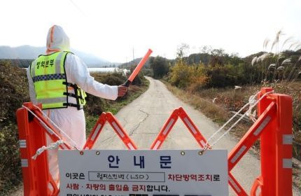 24일 소 바이러스성 질병인 '럼피스킨병' 확진 판정을 받은 강원 양구군의 한 축산농가 입구를 방역 당국 관계자가 통제하고 있다. ⓒ연합뉴스