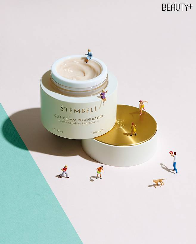 스템벨 셀 크림 리제너레이터