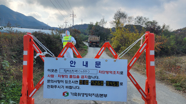 ▲ 방역당국 관계자 24일 소 바이러스성 질병인 ‘럼피스킨병’ 확진 판정을 받은 양구 국토정중앙면 구암리의 한 한우축산농가 입구에서 출입을 통제하고 있다.