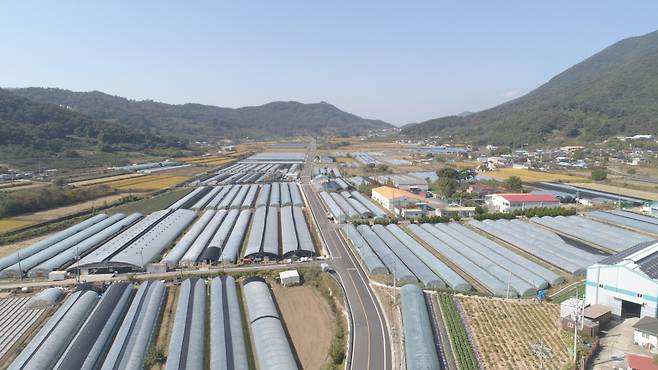 10월24일 개통된 시도 5호선 은산-보담간 도로 중 남전리 구간 전경 ⓒ밀양시