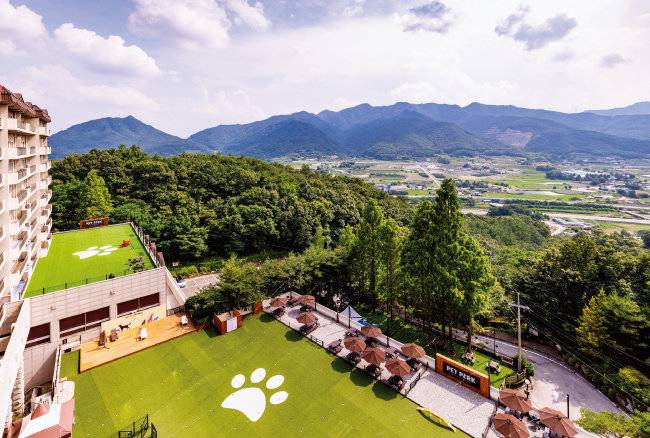 켄싱턴리조트 충주 ‘펫 파크’. [ 이랜드파크 켄싱턴호텔앤리조트 제공]