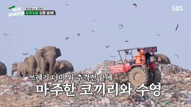 SBS ‘옆집 남편들 - 녹색 아버지회’ 캡처