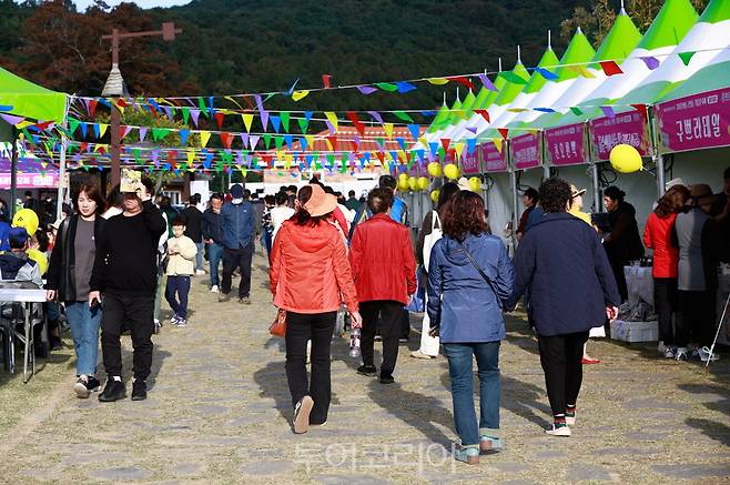 화순 고인돌 가을꽃 축제 / 사진-화순군