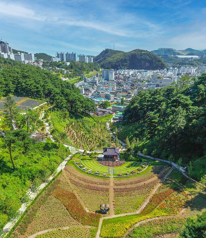 삼척시가 오는 28일 오후 5시 삼척향교 인근에서 전통문화체험 숲 ‘인의예지림’ 준공식을 연다. 사진은 인의예지림 모습. 삼척시 제공