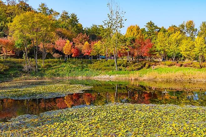 서서울호수공원 산책로 [양천구 제공. 재판매 및 DB 금지]