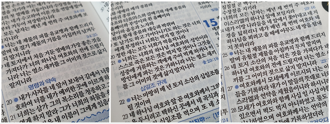 ‘너는 염소 새끼를 그 어미의 젖으로 삶지 말지니라’라는 문구가 적힌 구약성경의 조항들. 왼쪽부터 출애굽기 23장 19절, 신명기 14장 21절, 출애굽기 34장 26절. 이 조항으로 인해 유대인들은 고기와 유제품을 함께 먹지 않습니다. 어류의 경우 바닷가재와 같은 갑각류 등 비늘이 없는 생물의 섭취도 금지됩니다.