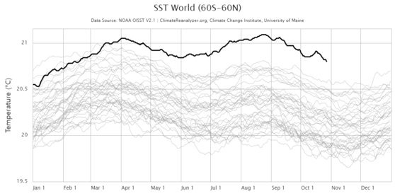 1981년부터 올해까지 전세계 해수면 온도. 맨 위의 진한 검은선이 올해 해수면 온도로 역대 가장 높은 수준을 기록 중이다. 사진 climatereanalyzer.org