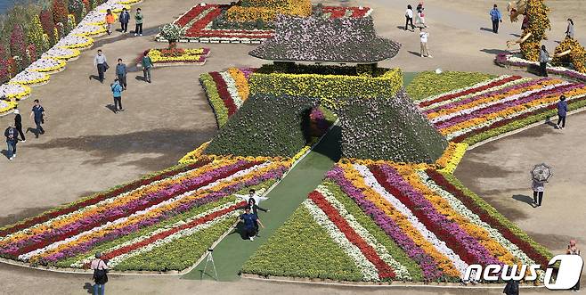 완연한 가을 날씨를 보인 30일 경남 양산시 양산천 둔치에서 열린 양산국화축제를 찾은 시민들이 가을 정취를 만끽하고 있다. 2023.10.30/뉴스1 ⓒ News1 윤일지 기자