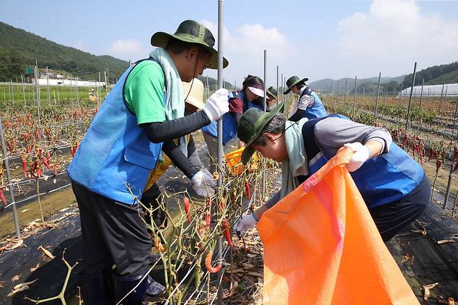 서울시립대학교 원용걸 총장과 보직교수, 교직원, 학생 등 30여명은 지난 7월28일 집중호우로 큰 피해를 입은 공주시 관내 지역에서 수해복구 자원봉사 활동을 펼쳤다. 서울시립대 제공