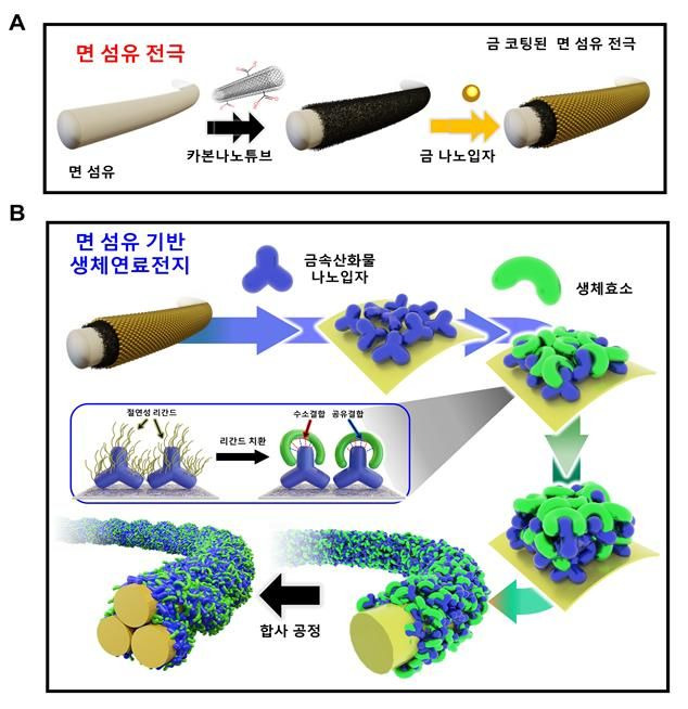 계면 상호작용 기반의 섬유형 생체연료전지 전극 제작 모식도 (사진=고려대 제공) *재판매 및 DB 금지