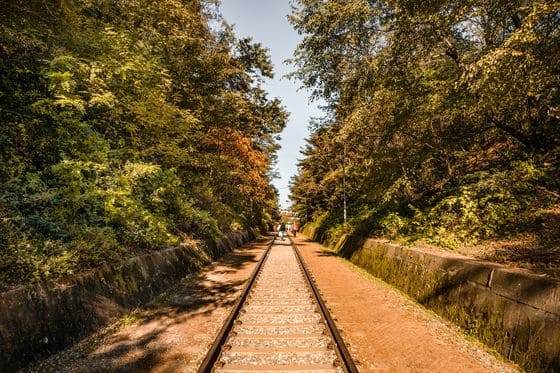 온라인 커뮤니티